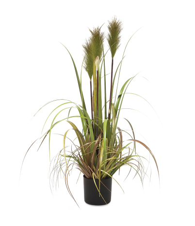 Planta fluvial artificial Carrizo h:85 cm