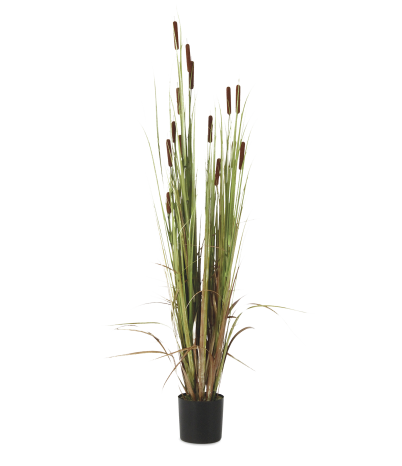 Planta fluvial artificial Enea h:180 cm
